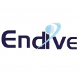 Endive Software