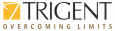 Trigent Software, Inc