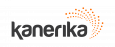 Kanerika Inc.