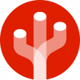 CactusSoft
