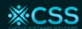 CAPTIVE SOFTWARE SOLUTION