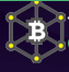 The Crypto Developer