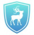 Cyber Chasse Inc