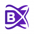 BlockchainX