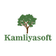kamliyasoft services private limited