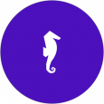 Recogn.ai