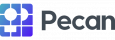 Pecan AI