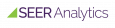 Seer Analytics