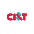 CI&T