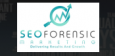 SEO Forensic Marketing (SEOFM)