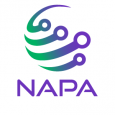 NAPA - IT Services and Consulting