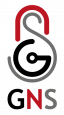 GulfNet Solutions Comapny Limited 