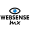 Websense