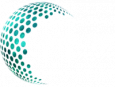 Global Tech Solutions