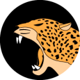 Jaguar Team