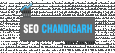 SEO Chandigarh