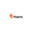 Best Magento Team