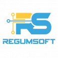 Regumsoft Technologies LLC