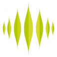 Lemon Interactive