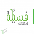 Faceela Software House