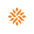 MentorMate