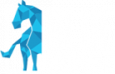 Bluehorse Software Solutions Pvt Ltd