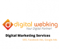 Digital Web King