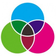 Evolve IT-Consulting
