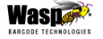 Wasp