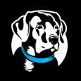 Black Dawg Digital Marketing