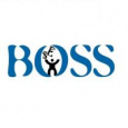 SEO Boss