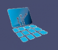 Total I.T Solutions