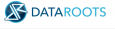 Data Roots Web Development 