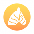 Safari Digital SEO Agency