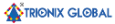 Trionix Global