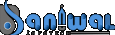 Baniwal Infotech