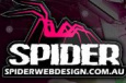 Spider Web Design
