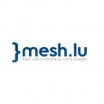 Mesh