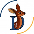 Doe'sInfotech Solutions