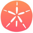 Sand Dollar Design