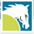 Workhorse Development