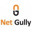 Net Gully