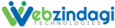 Webzindagi Technologies