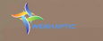 Webhaptic Intelligence Group