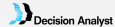 Decision Analyst