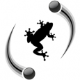Quantenfrosch