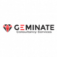 Geminate Consultancy Services