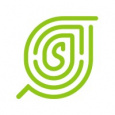 Sprout Insight