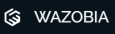 Wazobia Technologies