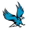 Falcon Online Services